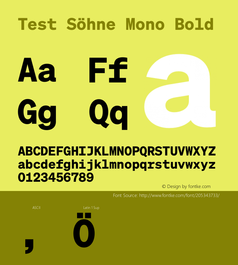 Test Söhne Mono Bold Version 1.109;hotconv 1.0.116;makeotfexe 2.5.65601图片样张