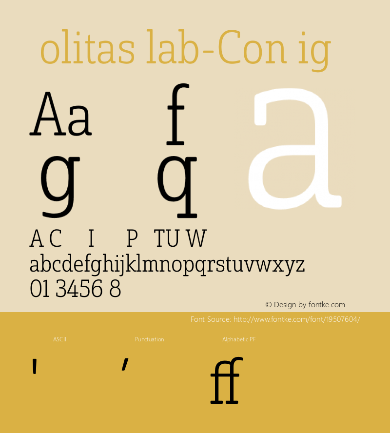 ☞SolitasSlab-ConLig 1.000;com.myfonts.easy.insigne.solitas-slab.con-light.wfkit2.version.4sR6 Font Sample