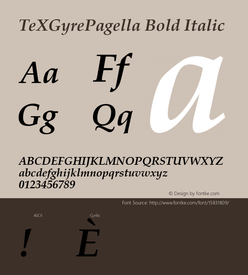 TeXGyrePagella Bold Italic Version 1.103;PS 1.103;hotconv 1.0.49;makeotf.lib2.0.14853; ttfautohint (v1.4.1) Font Sample