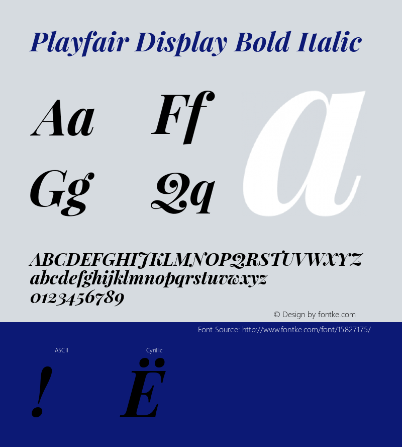Playfair Display Bold Italic Version 1.004;PS 001.004;hotconv 1.0.70;makeotf.lib2.5.58329; ttfautohint (v1.4.1) Font Sample