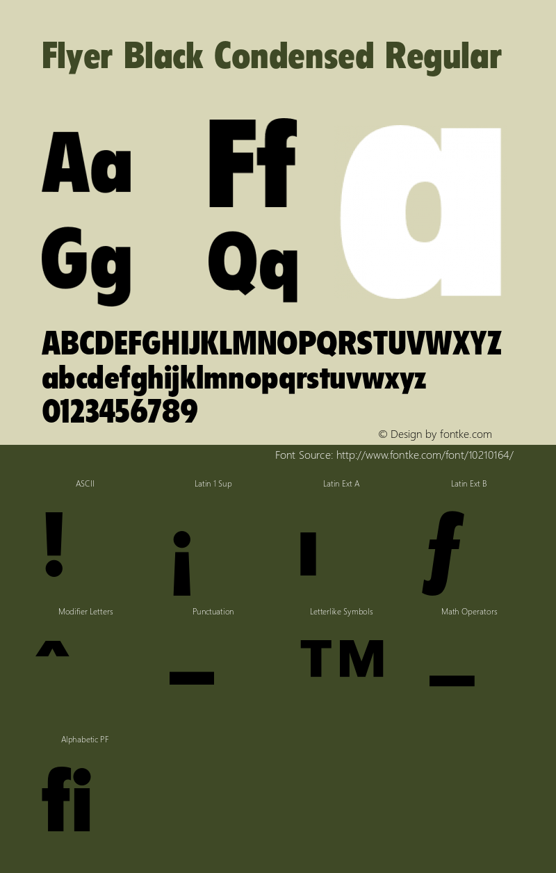 Flyer Black Condensed Regular 001.000 Font Sample