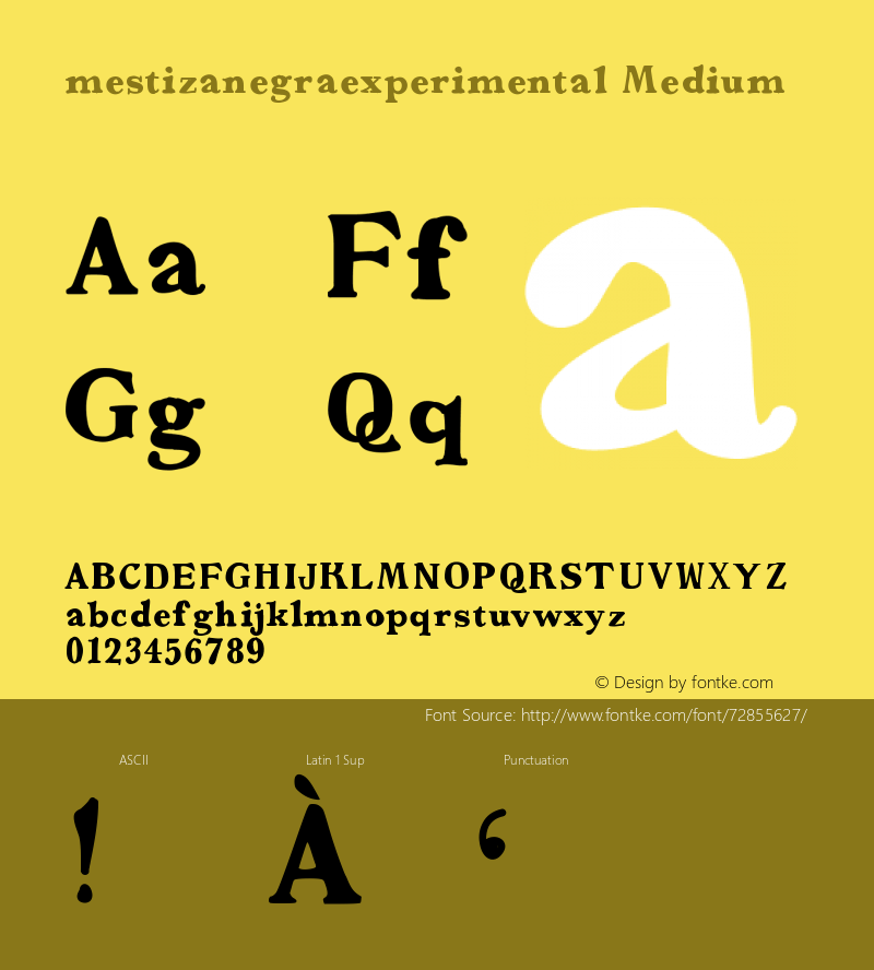 mestizanegraexperimental Version 001.000 Font Sample