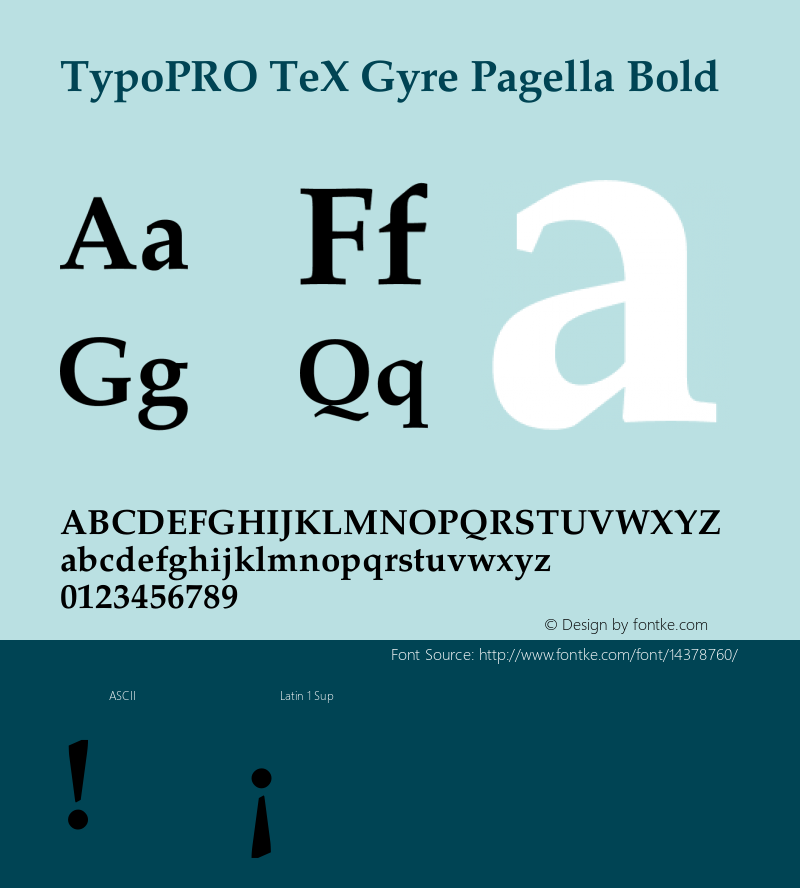 TypoPRO TeX Gyre Pagella Bold Version 2.004;PS 2.004;hotconv 1.0.49;makeotf.lib2.0.14853 Font Sample