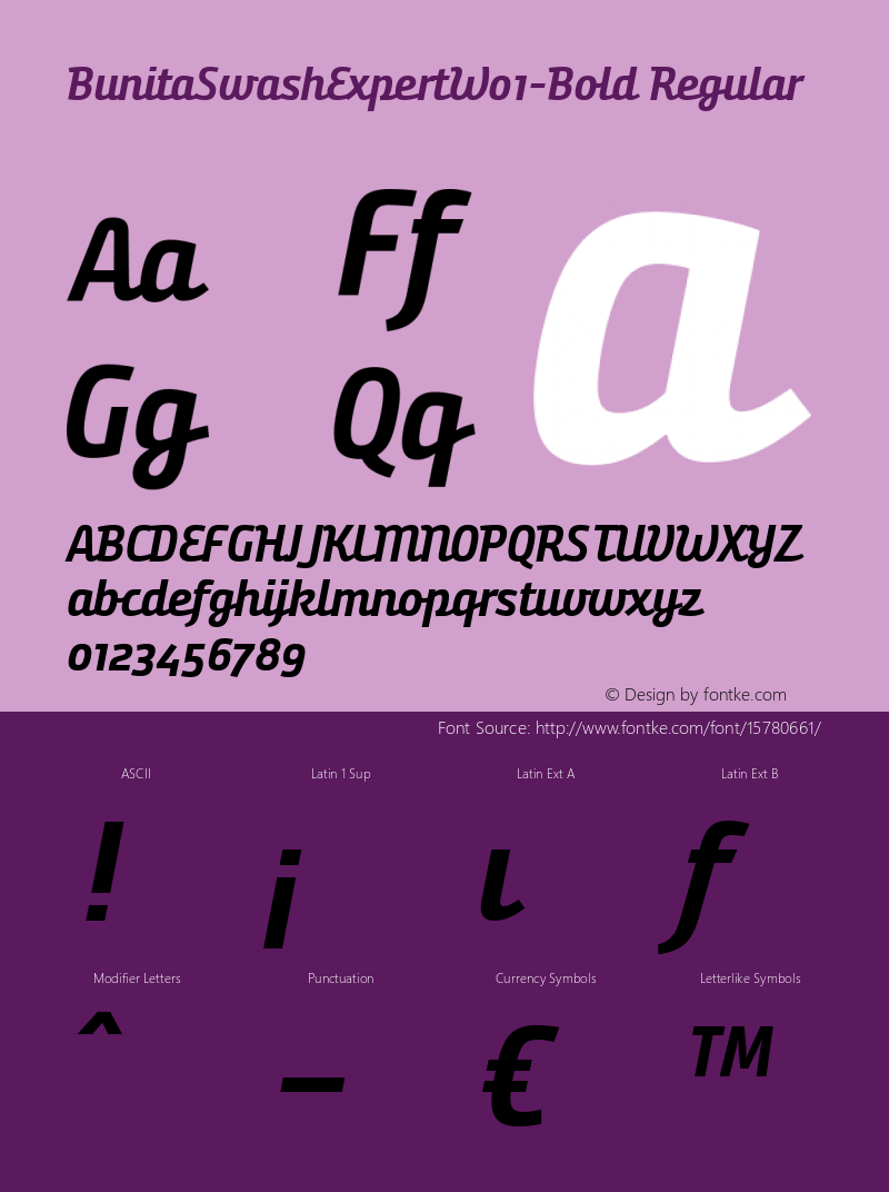 BunitaSwashExpertW01-Bold Regular Version 1.141 Font Sample