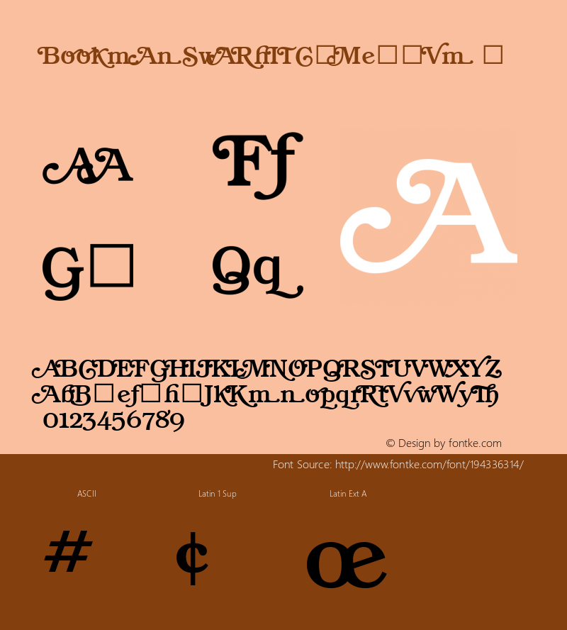 ☞Bookman Swash ITC Medium Version 1.00;com.myfonts.easy.itc.bookman.swash-medium.wfkit2.version.3LfY图片样张