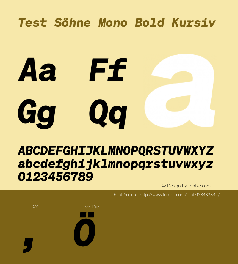 Test Söhne Mono Bold Kursiv Version 1.108;hotconv 1.0.116;makeotfexe 2.5.65601 Font Sample