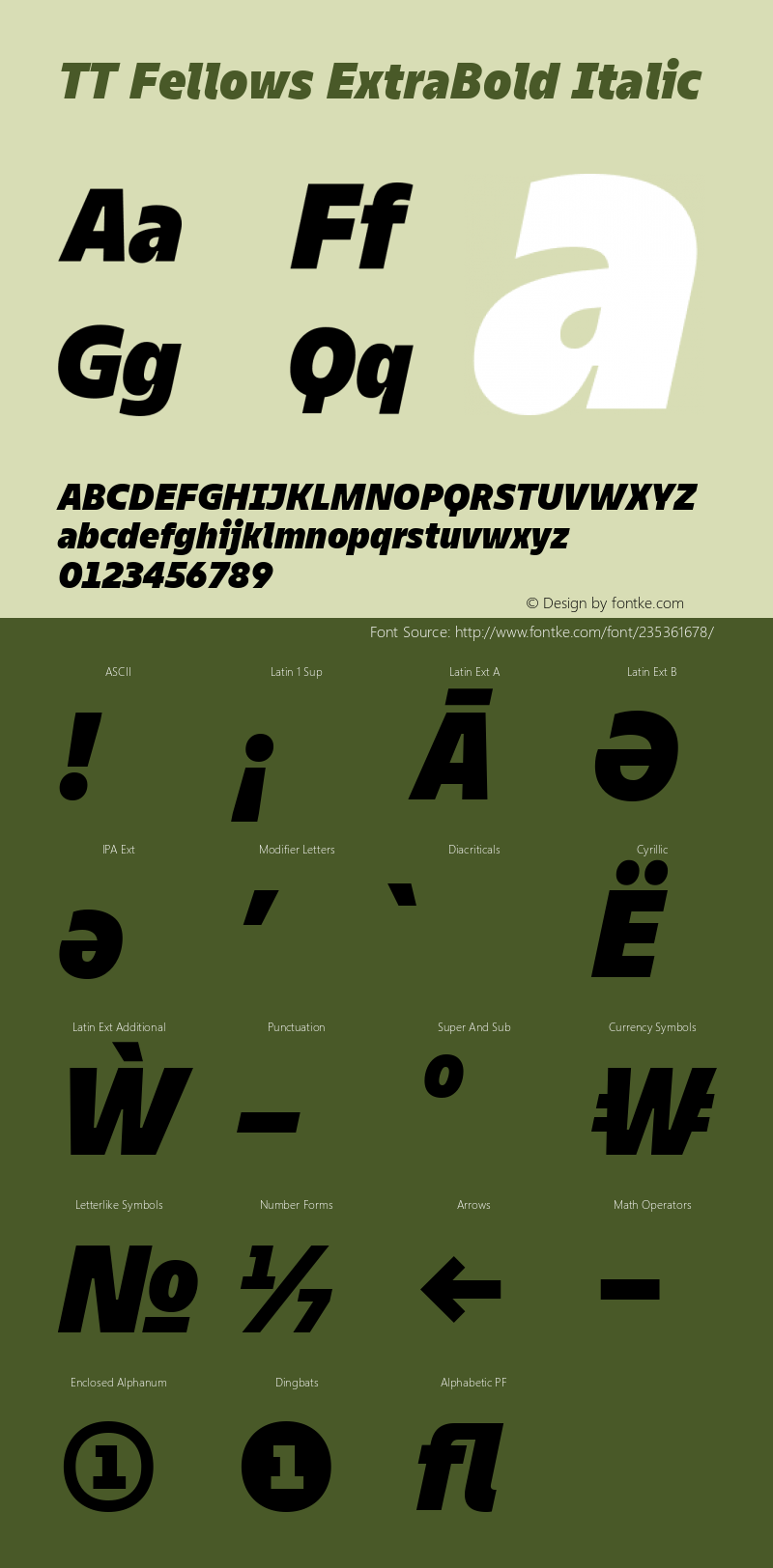 TT Fellows ExtraBold Italic Version 1.000.13122021图片样张