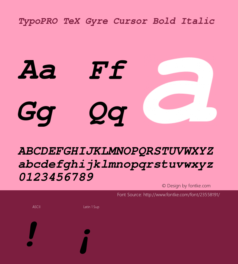 TypoPRO TeXGyreCursor-BoldItalic Version 2.004;PS 2.004;hotconv 1.0.49;makeotf.lib2.0.14853 Font Sample