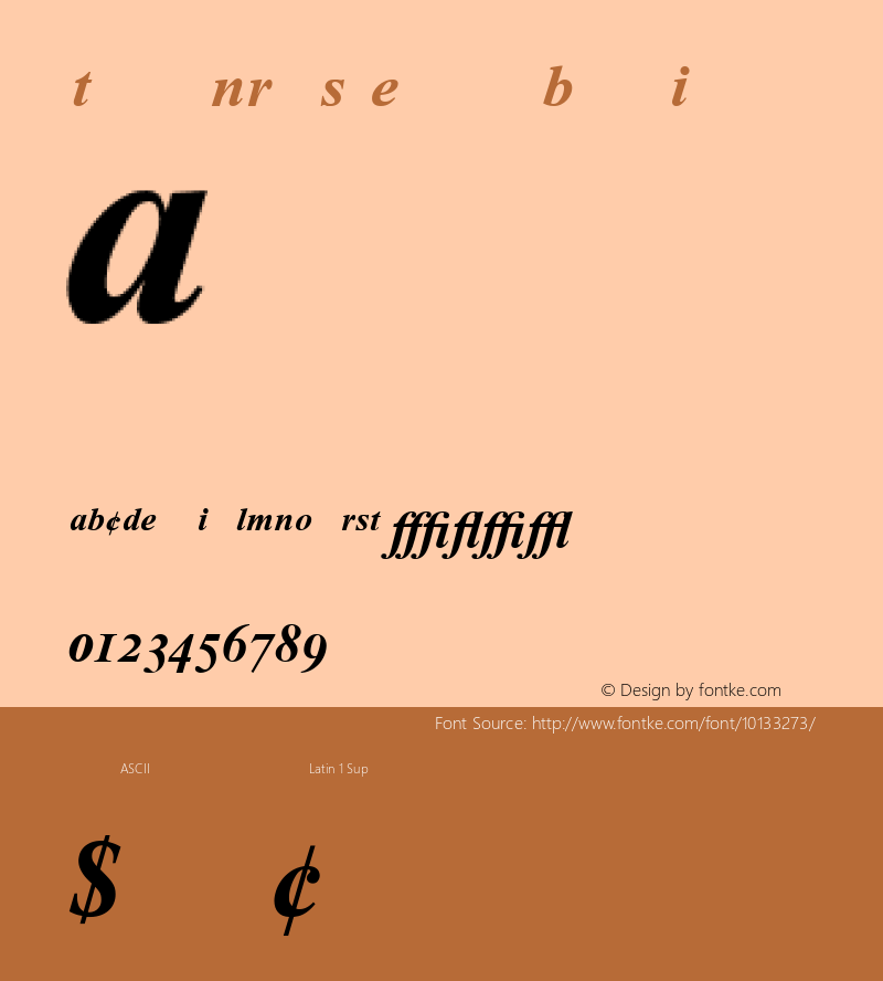 Times NR PS Expert Bold Italic 001.003 Font Sample