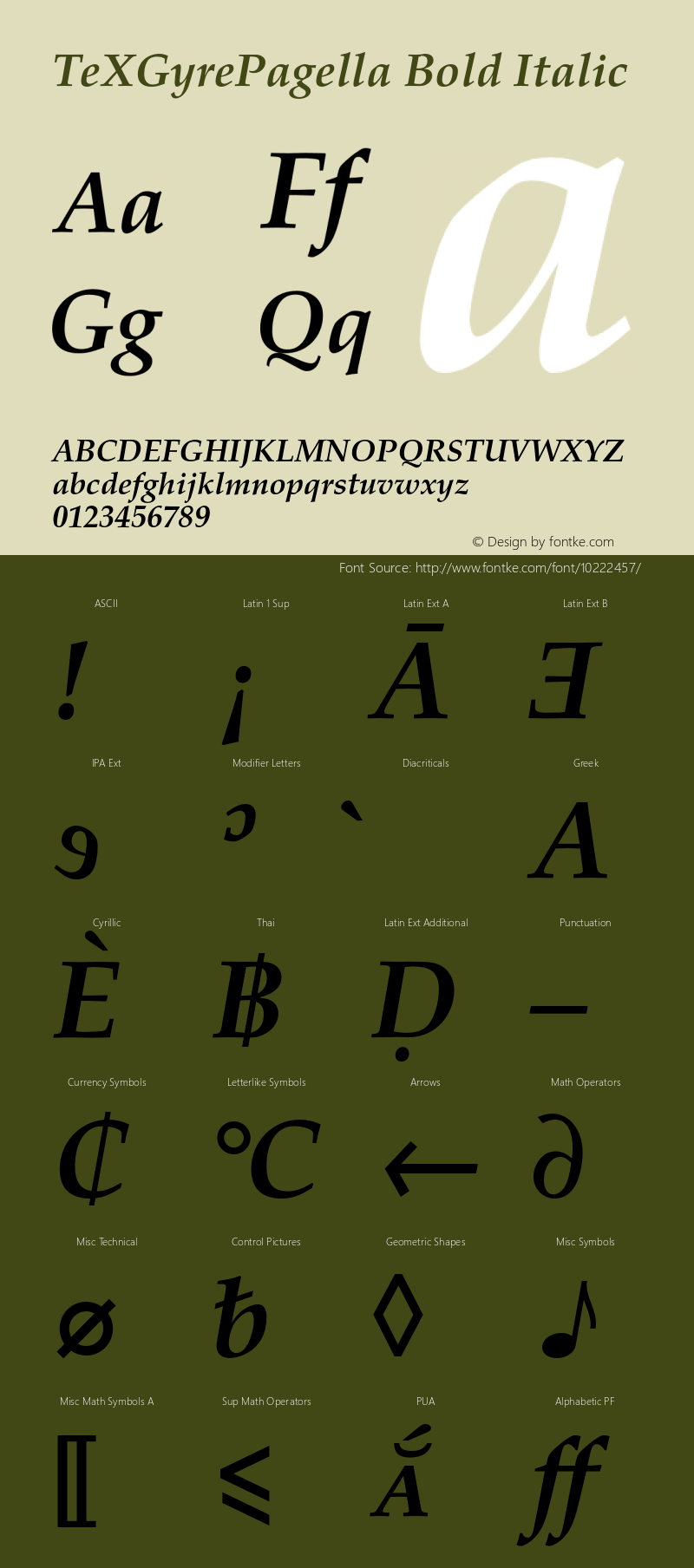 TeXGyrePagella Bold Italic Version 1.103;PS 1.103;hotconv 1.0.49;makeotf.lib2.0.14853 Font Sample