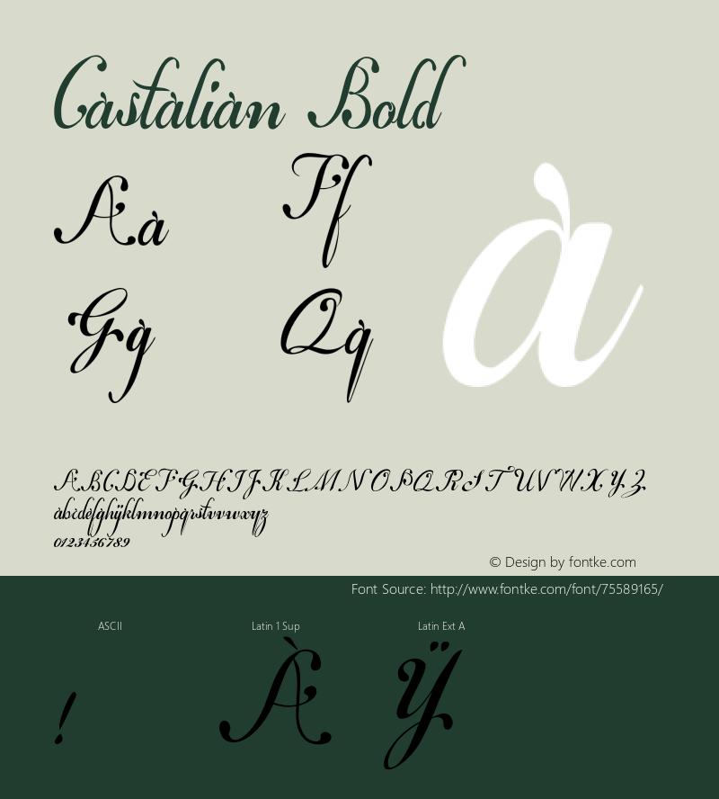 Castalian-Bold Version 1.000;PS 001.001;hotconv 1.0.56 Font Sample