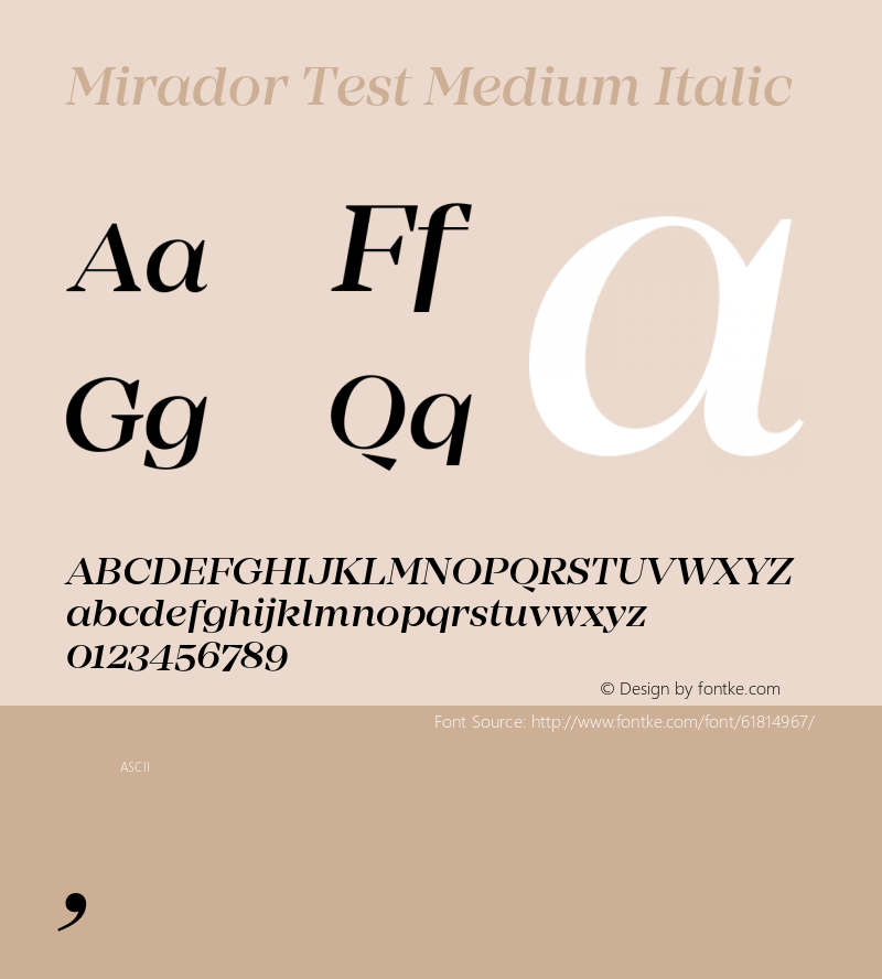 Mirador Test Medium Italic Version 1.002;PS 001.002;hotconv 1.0.88;makeotf.lib2.5.64775 Font Sample