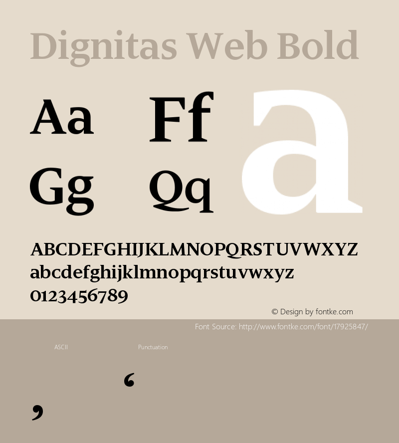 Dignitas Web Bold Version 1.1 2003 Font Sample