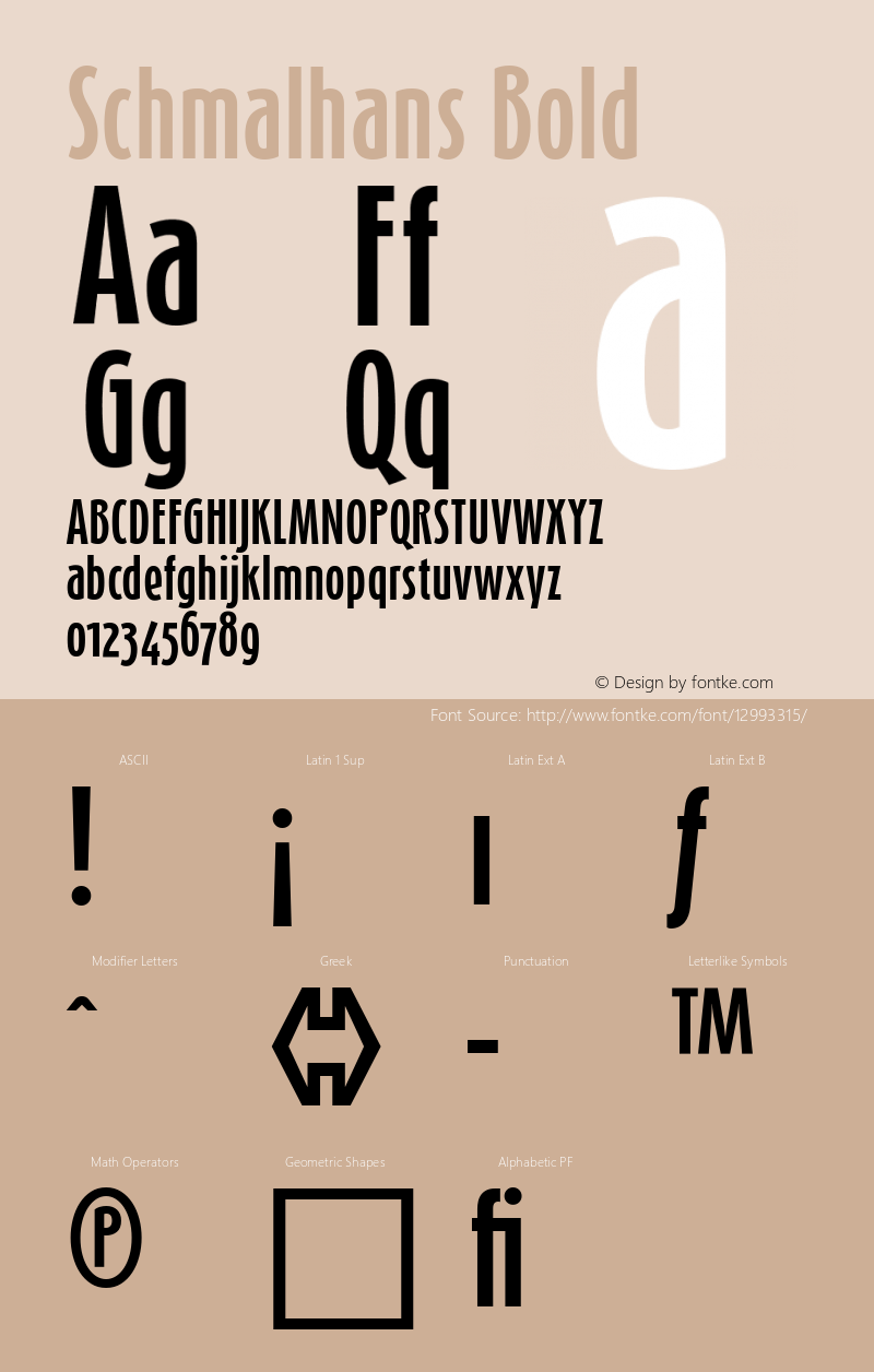 Schmalhans Bold 001.000 Font Sample