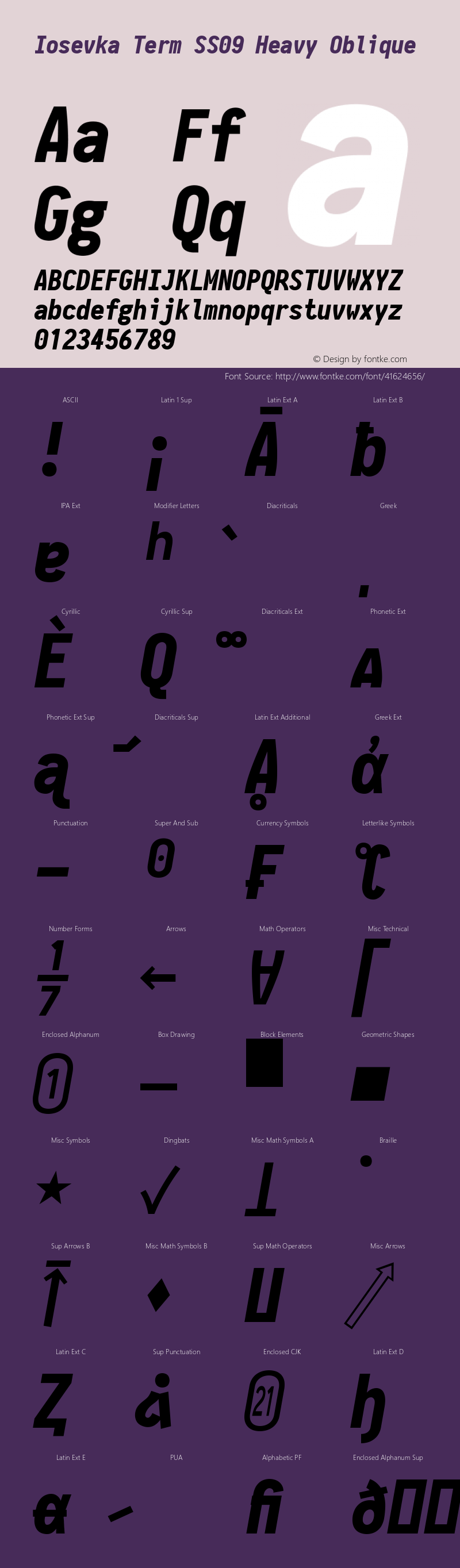 Iosevka Term SS09 Heavy Oblique 2.3.1; ttfautohint (v1.8.3) Font Sample