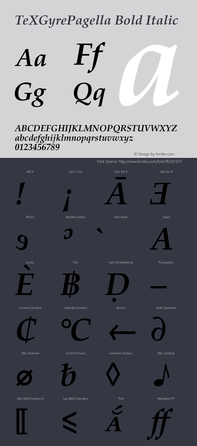 TeXGyrePagella Bold Italic Version 1.103;PS 1.103;hotconv 1.0.49;makeotf.lib2.0.14853 Font Sample