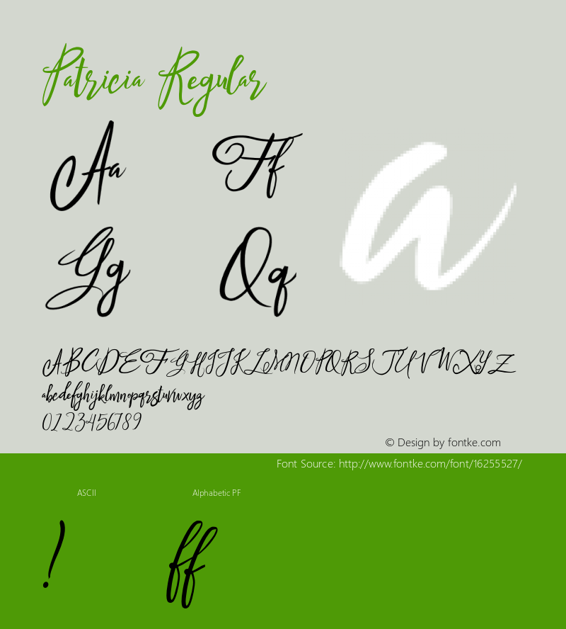 Patricia Regular Version 1.000 2016 initial release Font Sample