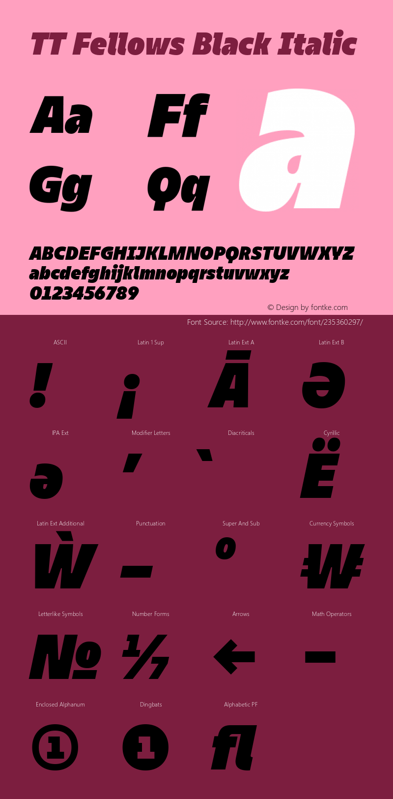 TT Fellows Black Italic Version 1.000.13122021图片样张