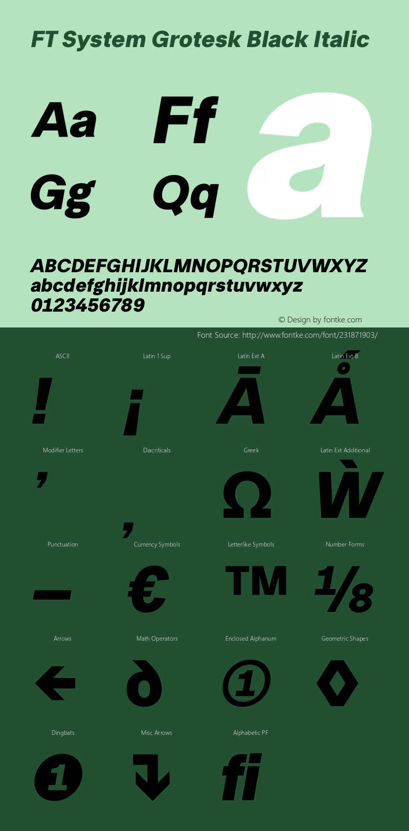 FT System Grotesk Black Italic Version 1.000;FEAKit 1.0图片样张