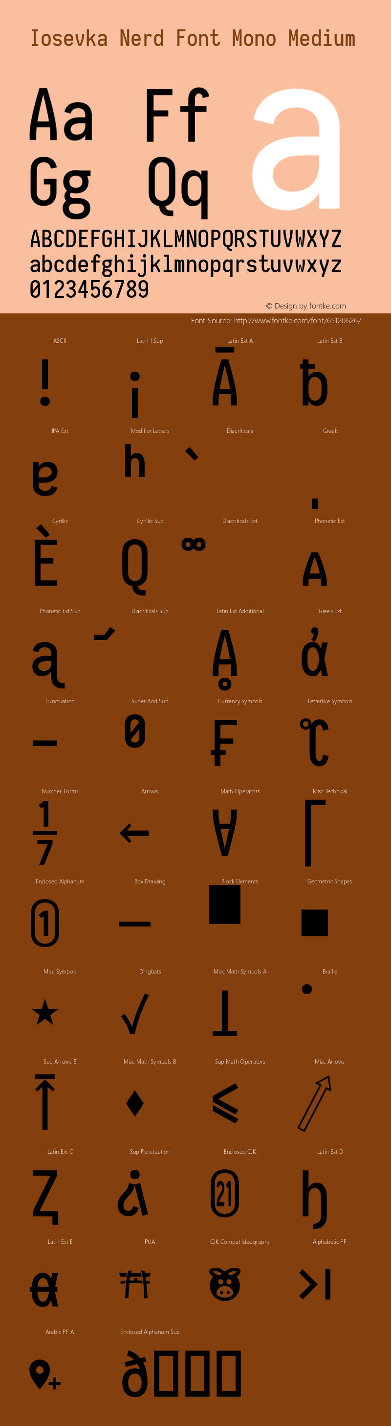 Iosevka Term Medium Nerd Font Complete Mono 2.1.0; ttfautohint (v1.8.2) Font Sample