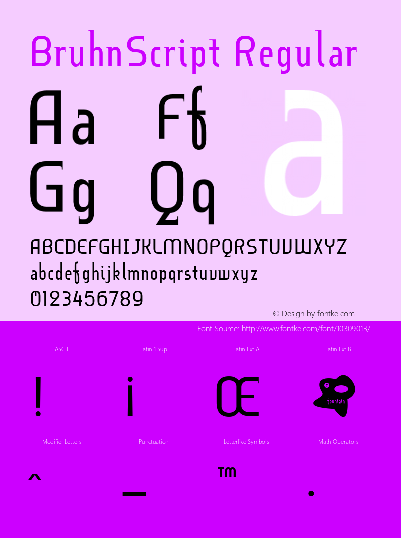 BruhnScript Regular Version 001.000 Font Sample