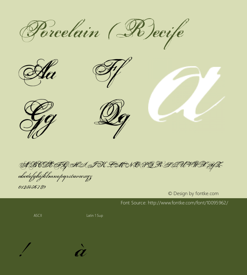 Porcelain (R)ecife What you dont have, you dont need. Font Sample