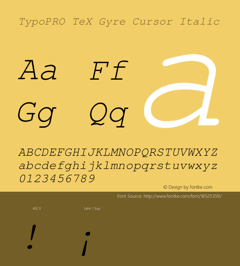 TypoPRO TeX Gyre Cursor Italic Version 2.004;PS 2.004;hotconv 1.0.49;makeotf.lib2.0.14853 Font Sample