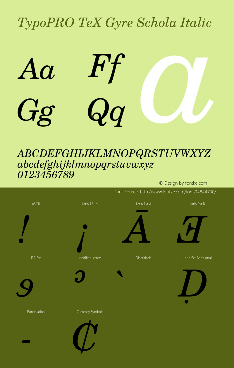 TypoPRO TeX Gyre Schola Italic Version 2.005;PS 2.005;hotconv 1.0.49;makeotf.lib2.0.14853 Font Sample