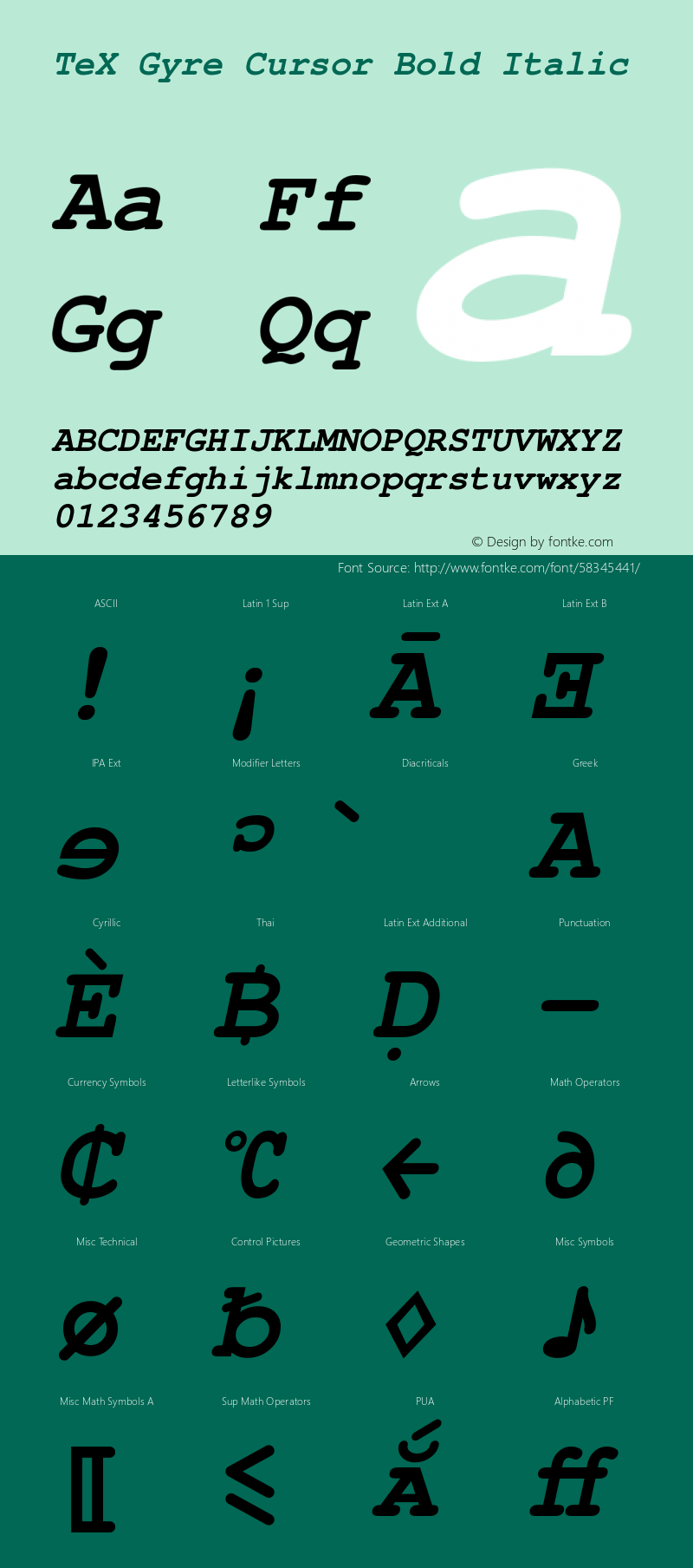 TeXGyreCursor-BoldItalic Version 1.103;PS 1.103;hotconv 1.0.49;makeotf.lib2.0.14853 Font Sample