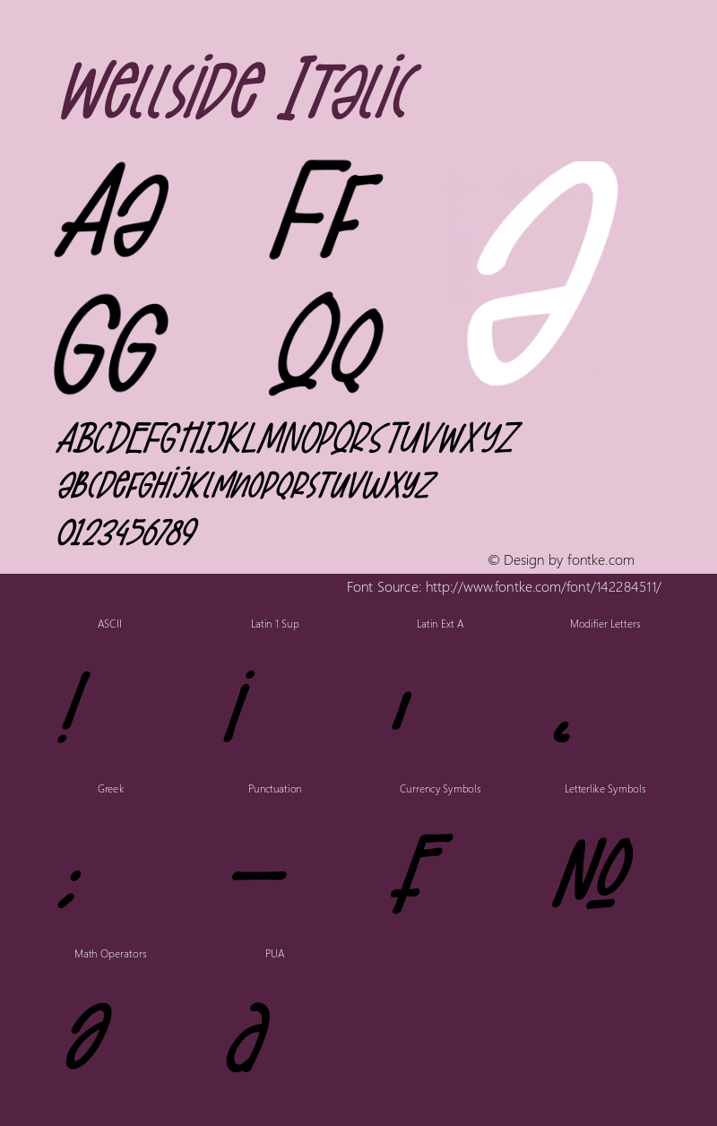 Wellside Italic Version 1.00;December 16, 2020;FontCreator 12.0.0.2563 64-bit Font Sample