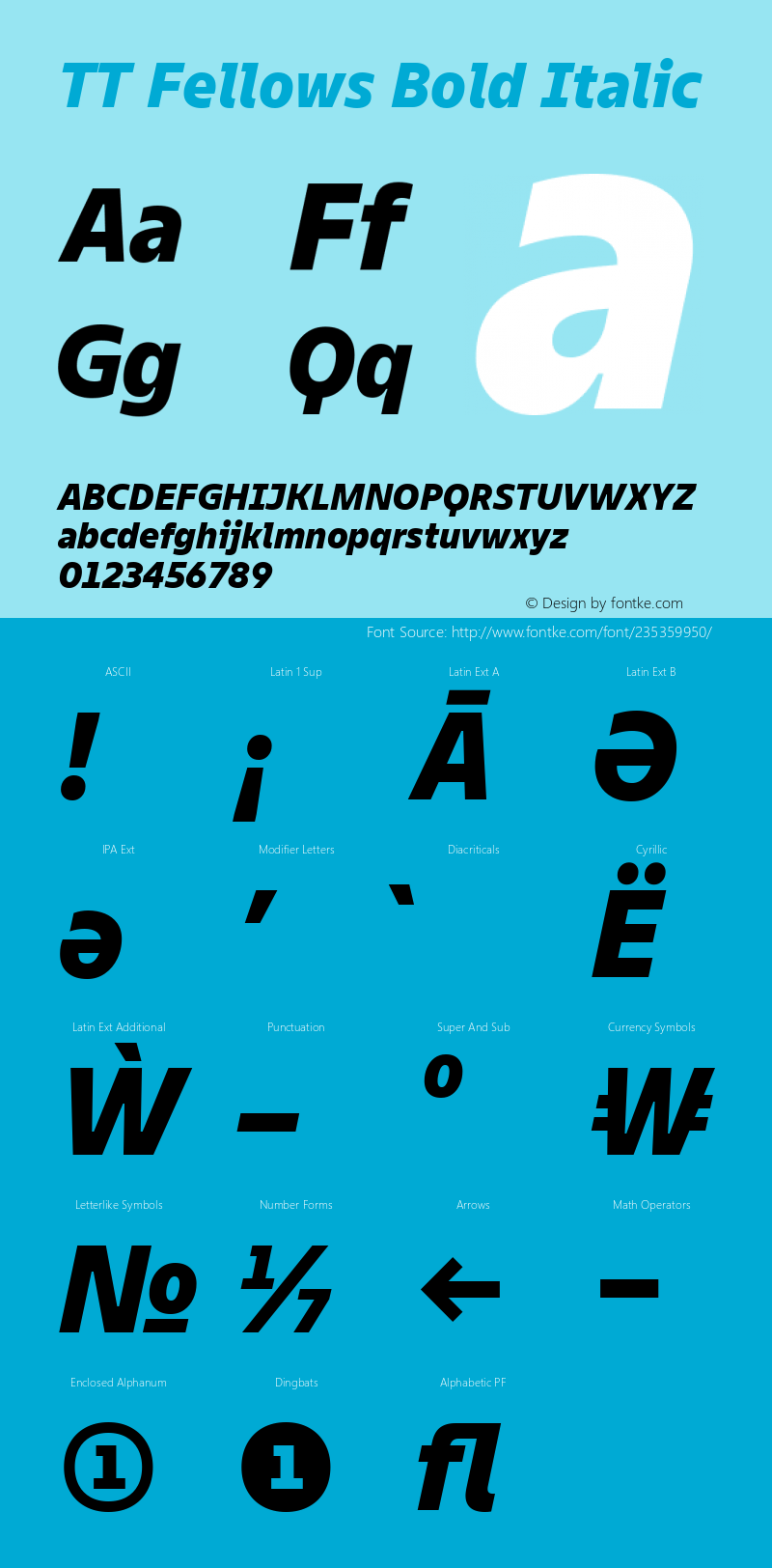 TT Fellows Bold Italic Version 1.000.13122021图片样张