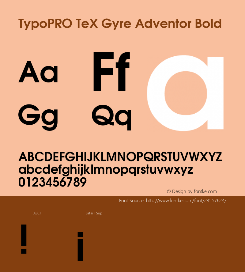 TypoPRO TeXGyreAdventor-Bold Version 2.003;PS 2.003;hotconv 1.0.49;makeotf.lib2.0.14853 Font Sample