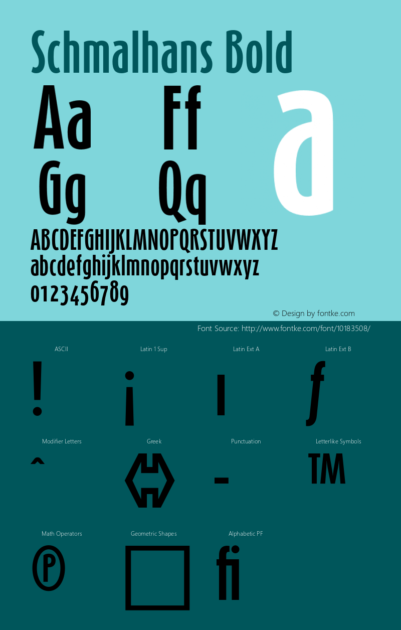 Schmalhans Bold 001.000 Font Sample