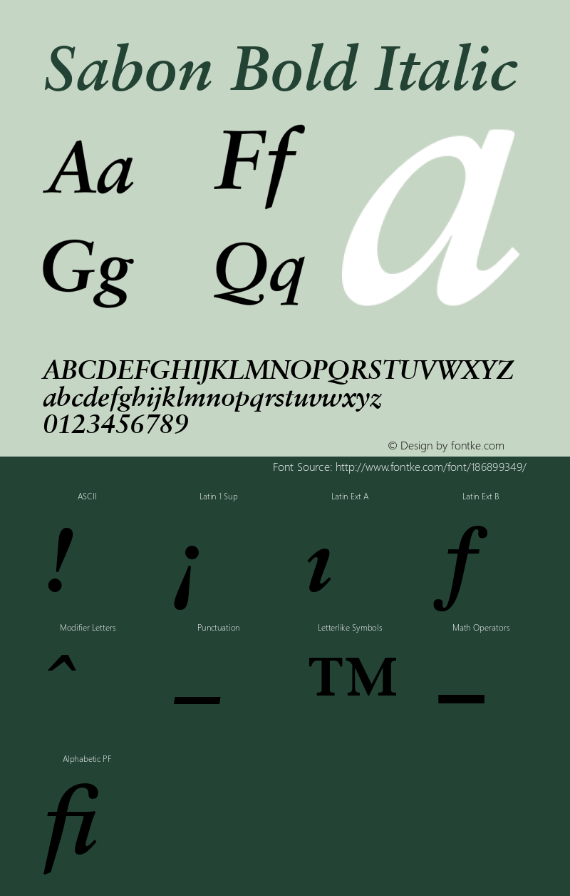 12 Sabon* Bold Italic   14232 001.000图片样张