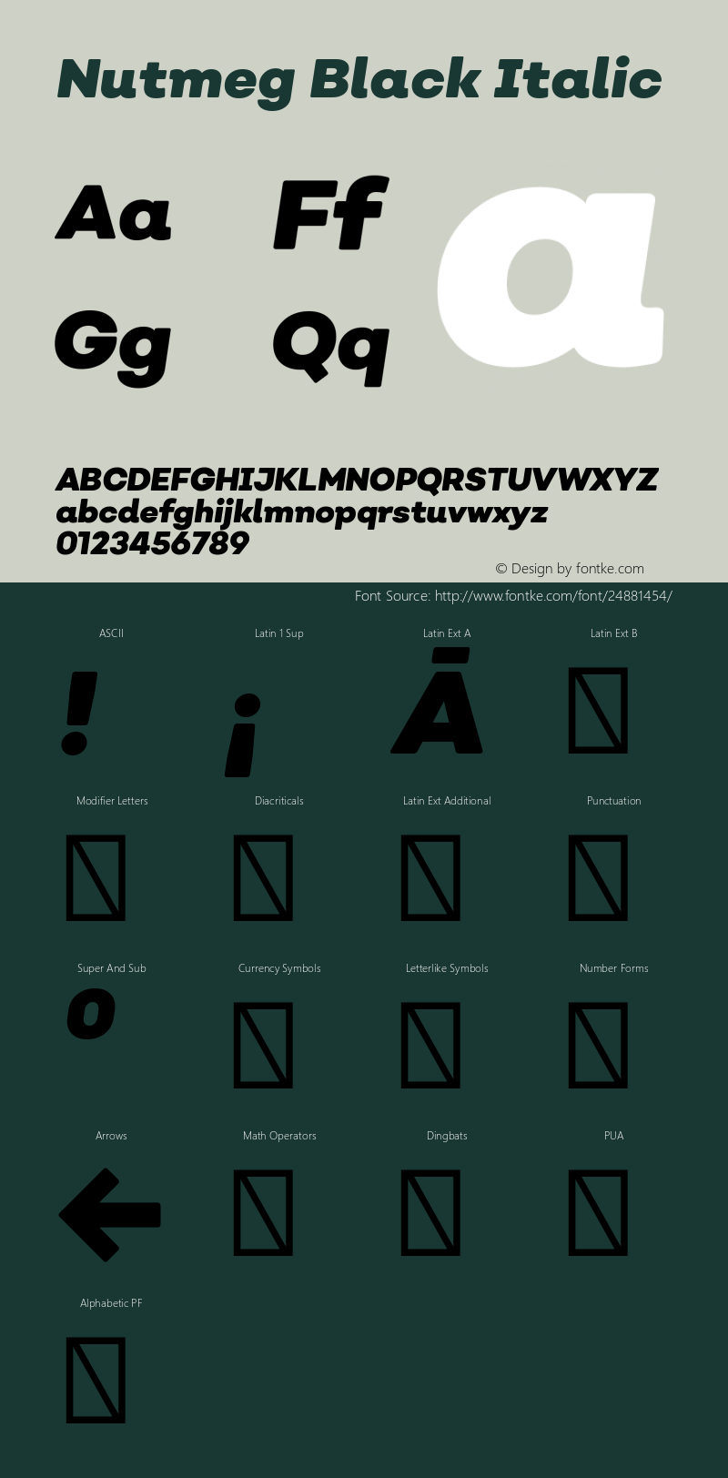 Nutmeg Black Italic Version 1.000;PS 001.000;hotconv 1.0.88;makeotf.lib2.5.64775 Font Sample