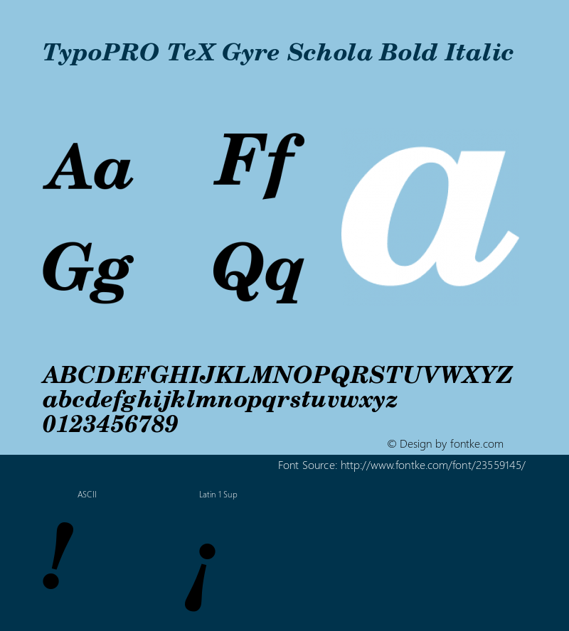 TypoPRO TeXGyreSchola-BoldItalic Version 2.005;PS 2.005;hotconv 1.0.49;makeotf.lib2.0.14853 Font Sample