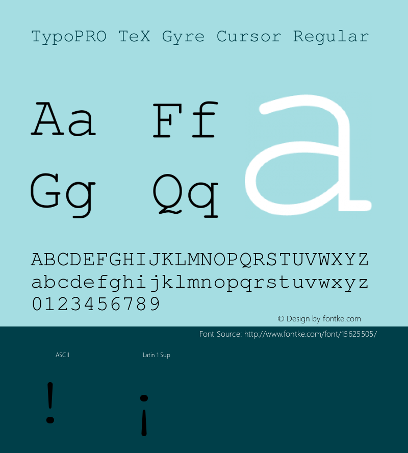 TypoPRO TeX Gyre Cursor Regular Version 2.004;PS 2.004;hotconv 1.0.49;makeotf.lib2.0.14853 Font Sample
