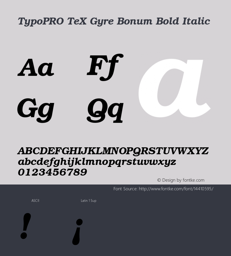 TypoPRO TeX Gyre Bonum Bold Italic Version 2.004;PS 2.004;hotconv 1.0.49;makeotf.lib2.0.14853 Font Sample