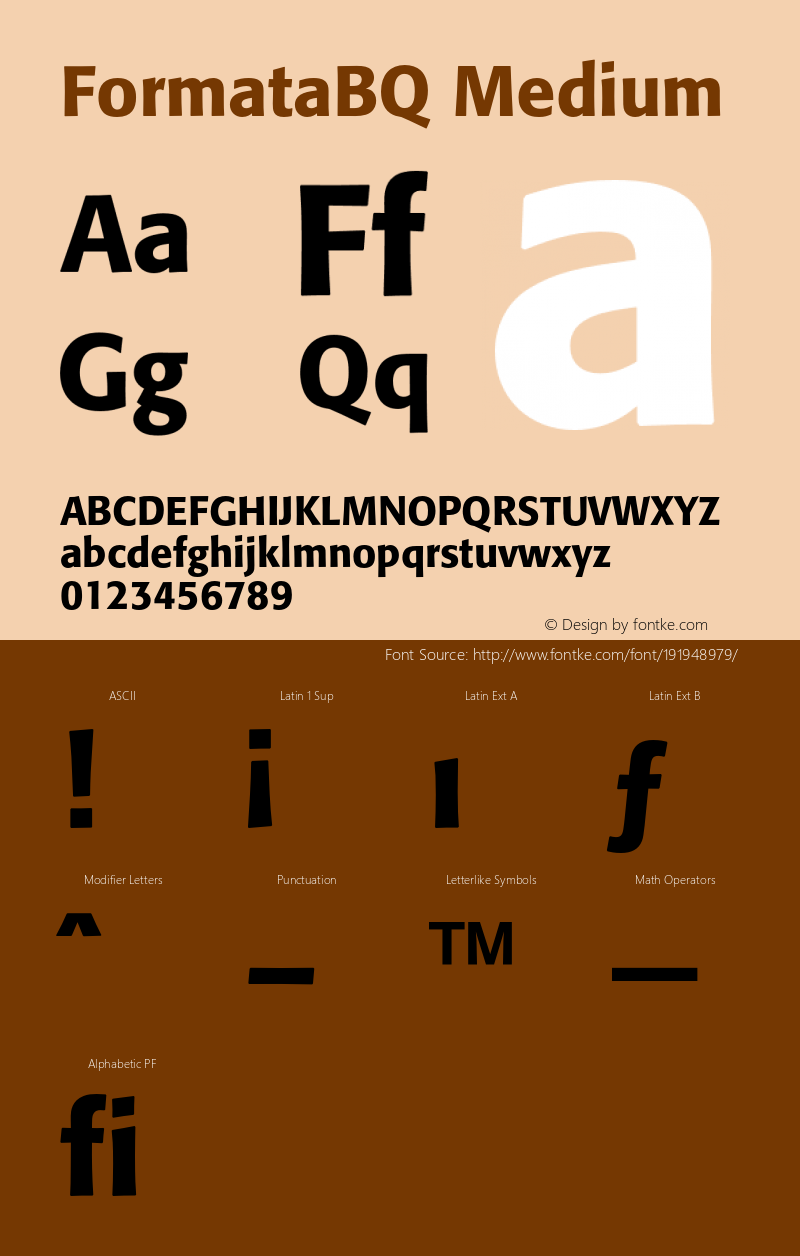 FormataBQ-Medium 001.001图片样张