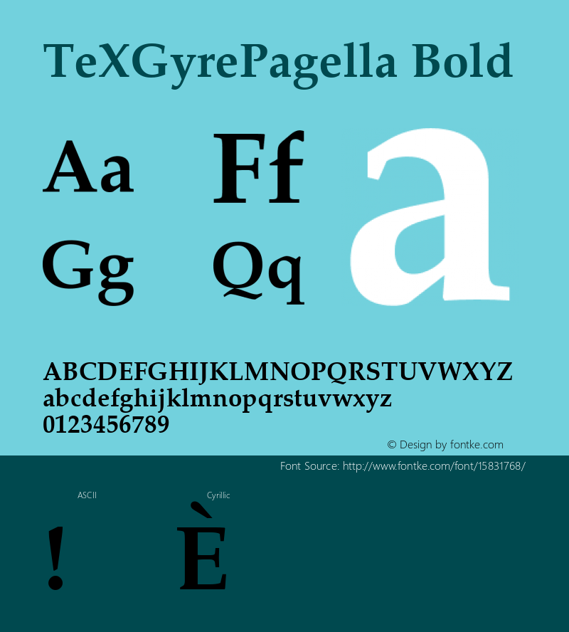 TeXGyrePagella Bold Version 1.103;PS 1.103;hotconv 1.0.49;makeotf.lib2.0.14853; ttfautohint (v1.4.1) Font Sample