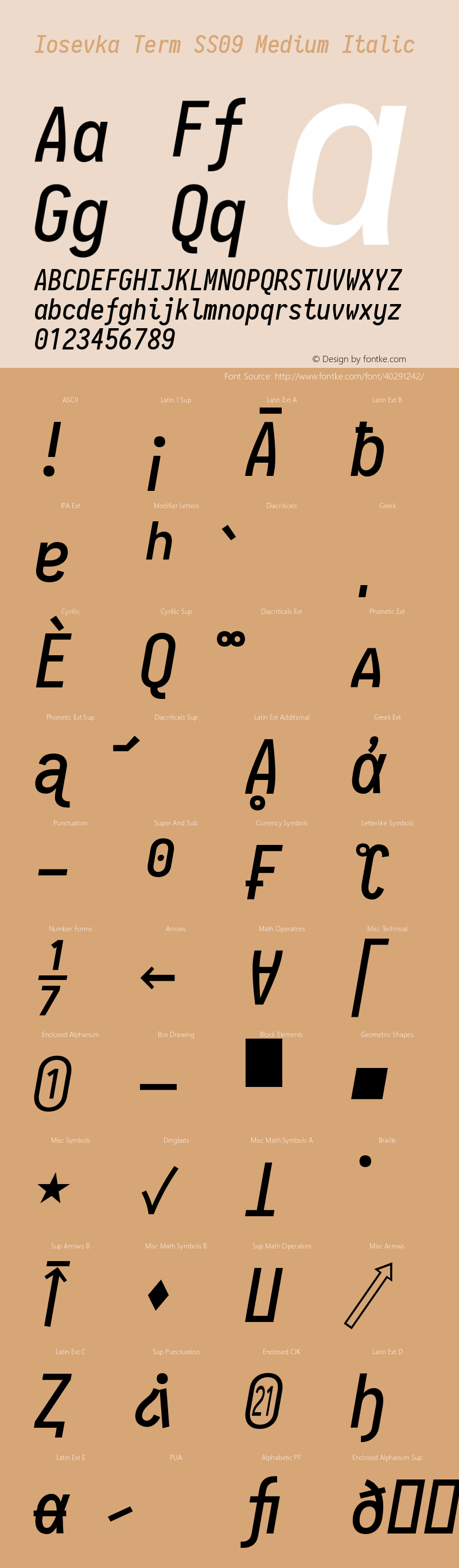 Iosevka Term SS09 Medium Italic 2.3.0 Font Sample