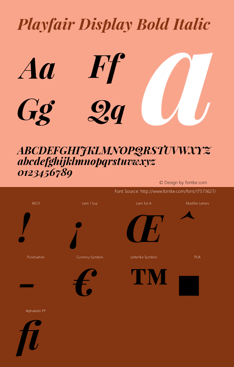 Playfair Display Bold Italic Version 1.002;PS 001.002;hotconv 1.0.70;makeotf.lib2.5.58329 Font Sample