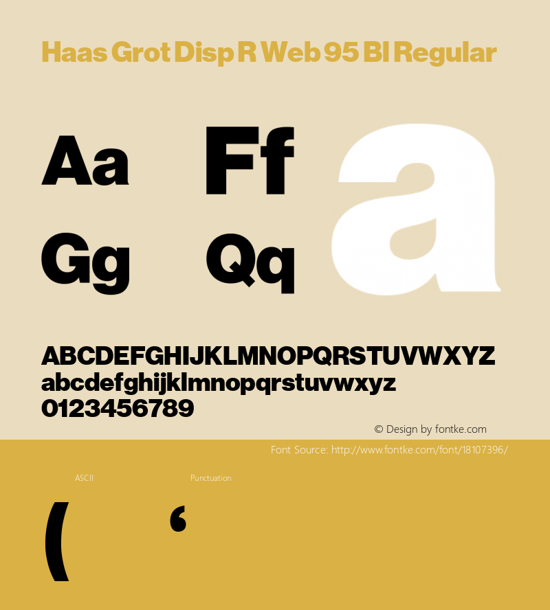 Haas Grot Disp R Web 95 Bl Regular Version 001.001 2010 Font Sample
