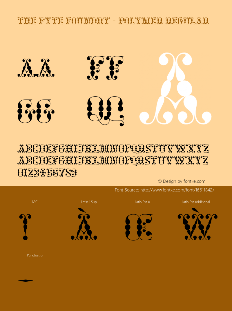 The Pyte Foundry - Polymer Regular Version 1.000;PS 001.000;hotconv 1.0.88;makeotf.lib2.5.64775 Font Sample