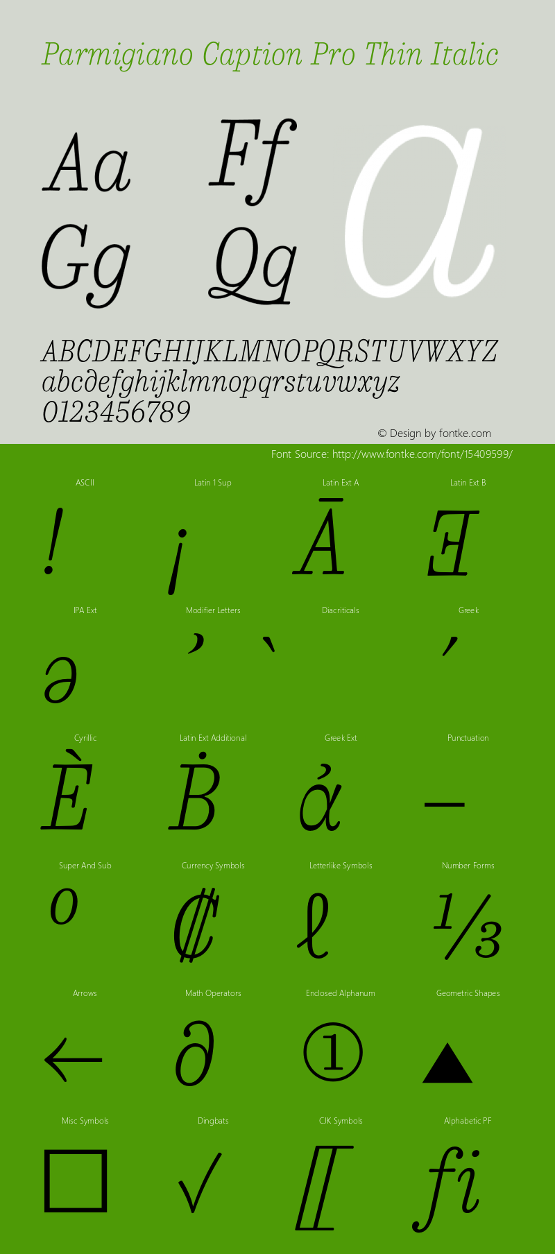 Parmigiano Caption Pro Thin Italic Version 1.0; 2014 Font Sample