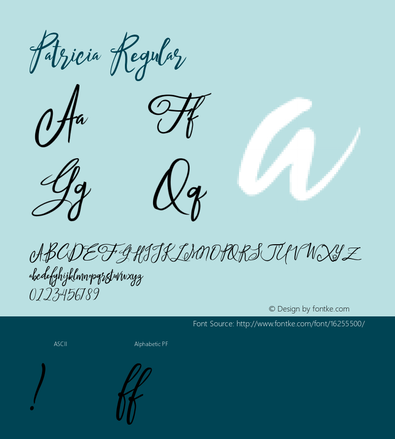 Patricia Regular Version 1.000 2016 initial release Font Sample