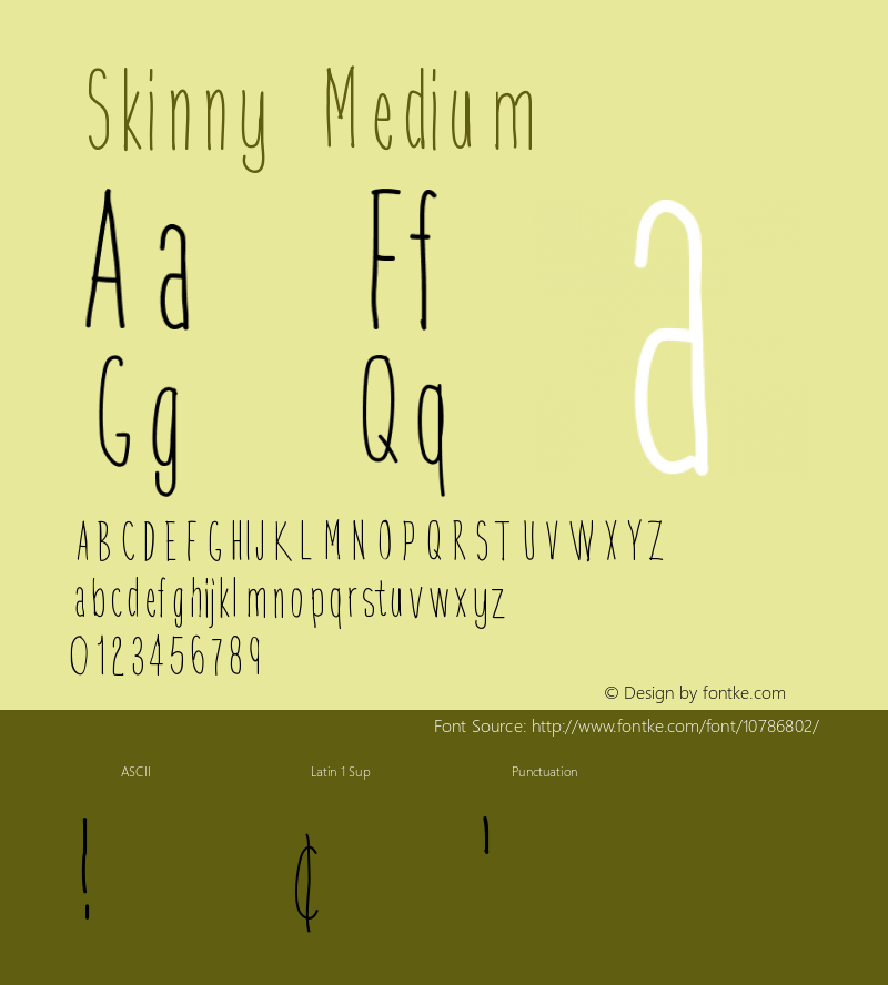 Skinny Medium Version 001.000 Font Sample