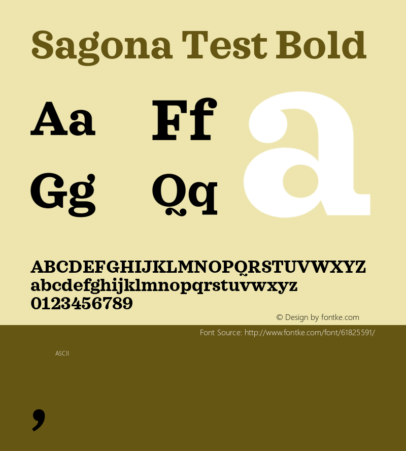 Sagona Test Bold Version 1.000;PS 001.000;hotconv 1.0.88;makeotf.lib2.5.64775 Font Sample