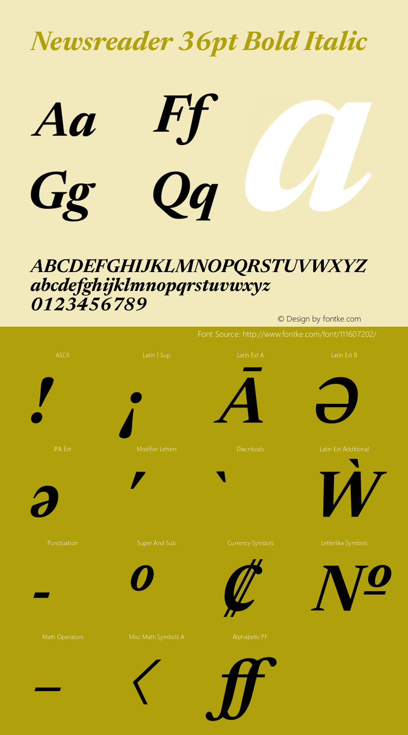 Newsreader 36pt Bold Italic Version 1.003 Font Sample