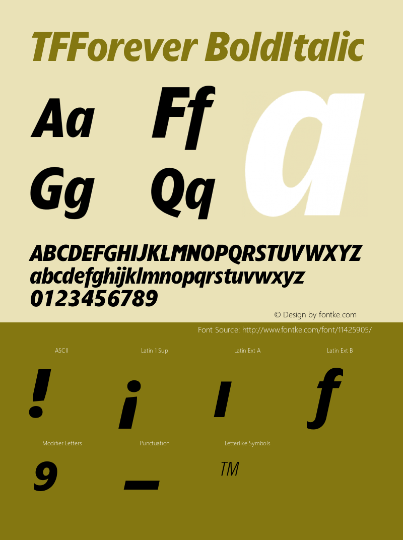 TFForever BoldItalic Version 001.000 Font Sample